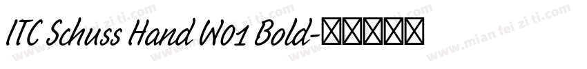 ITC Schuss Hand W01 Bold字体转换